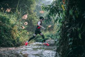 BIB: 
                            <button type="button" onclick="openModal(13716688)" class="btn btn-primary btn-sm float-right btn-popup" data-toggle="modal" data-target=".modal-high-quality">
                        <i class="fas fa-shopping-cart"></i> Add to Cart
                    </button>
                                            <button type="button" onclick="isThisMe(13716688, true)" class="btn btn-success btn-sm float-right btn-popup btn-isme hidden" data-toggle="tooltip" data-placement="bottom" title="นี่คือรูปของคุณใช่ไหม คลิกที่นี่เพื่อเอาเข้าอัลบั้ม">
                        <i class="fas fa-plus"></i> Add to album
                    </button>
                    <button type="button" onclick="isThisMe(13716688, false)" class="btn btn-warning btn-sm float-right btn-popup btn-isnotme hidden">
                        <i class="fas fa-ban"></i> Remove from album
                    </button>